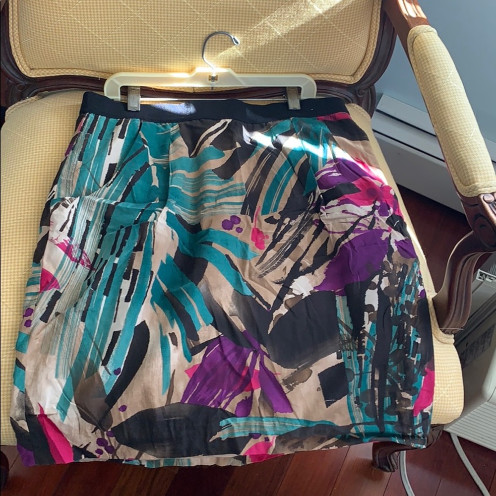 AnnTaylor skirt